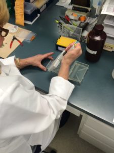 ICIA PCR Test